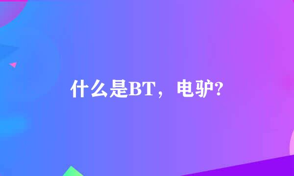 什么是BT，电驴?