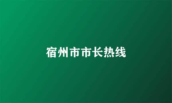 宿州市市长热线