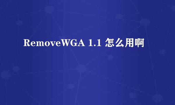 RemoveWGA 1.1 怎么用啊