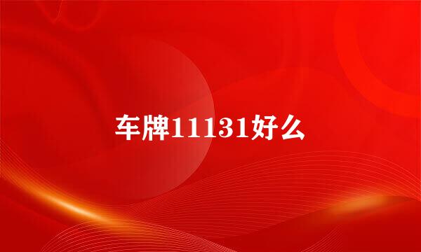 车牌11131好么