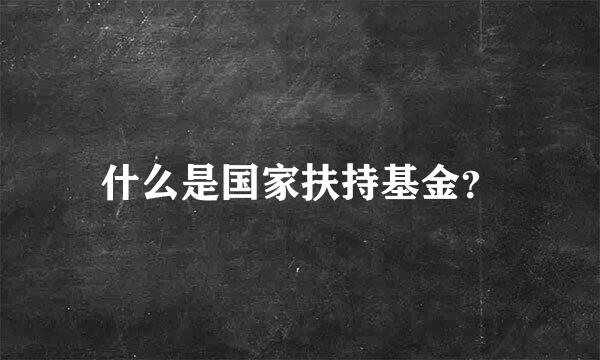 什么是国家扶持基金？