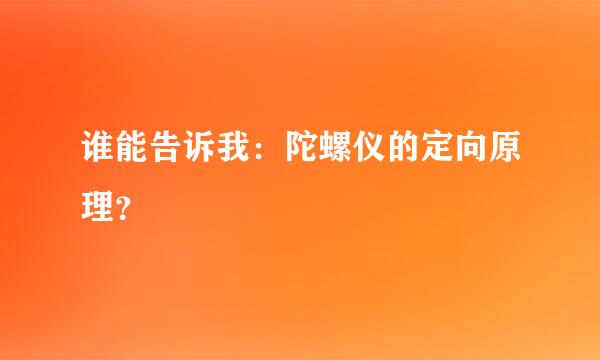 谁能告诉我：陀螺仪的定向原理？