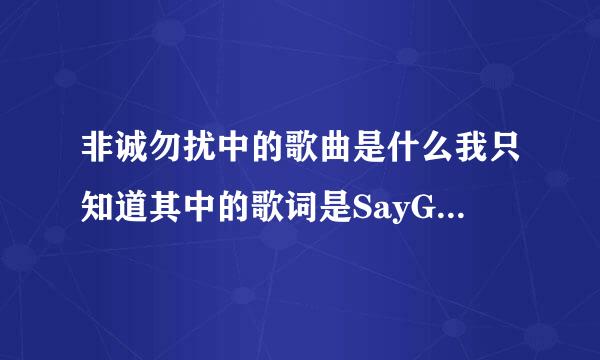 非诚勿扰中的歌曲是什么我只知道其中的歌词是SayGoodBye前前后后迂迂回回的啥子安