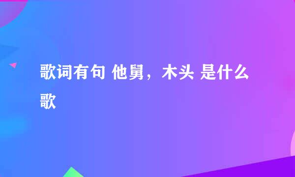 歌词有句 他舅，木头 是什么歌