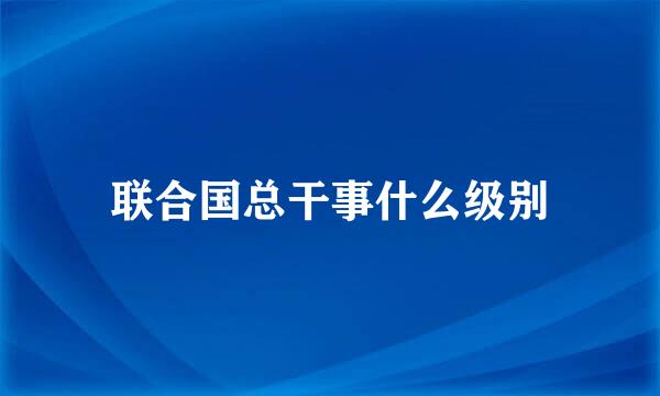 联合国总干事什么级别