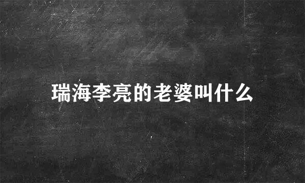 瑞海李亮的老婆叫什么