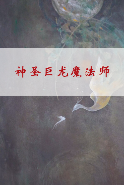 《神圣巨龙魔法师》txt下载在线阅读全文，求百度网盘云资源