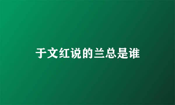 于文红说的兰总是谁