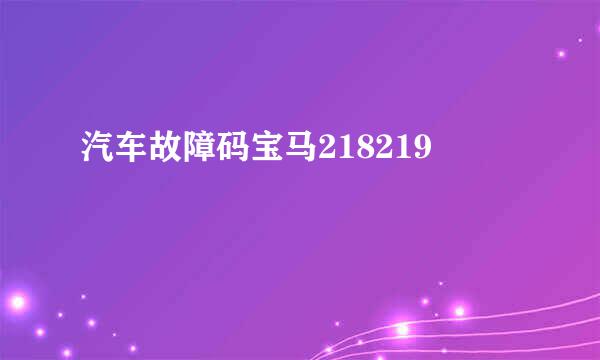 汽车故障码宝马218219