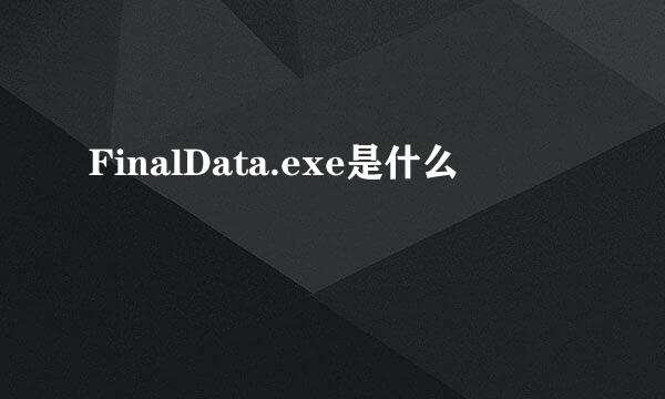 FinalData.exe是什么