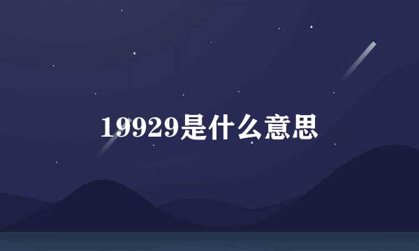 19929是什么意思