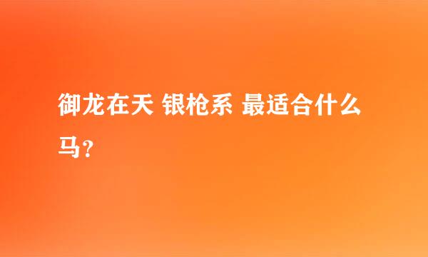 御龙在天 银枪系 最适合什么马？