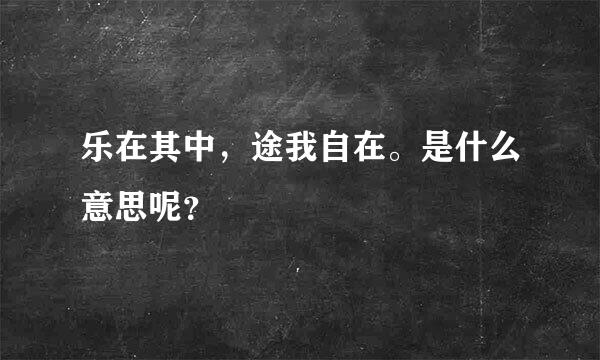 乐在其中，途我自在。是什么意思呢？