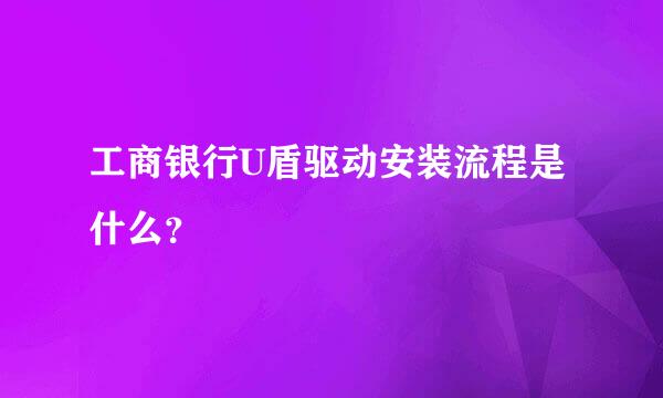 工商银行U盾驱动安装流程是什么？