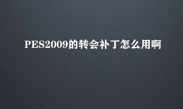 PES2009的转会补丁怎么用啊