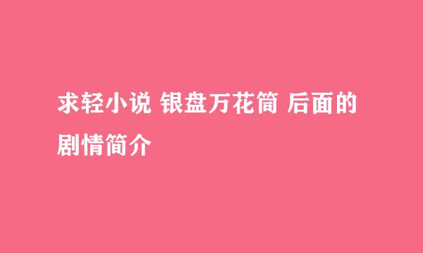 求轻小说 银盘万花筒 后面的剧情简介