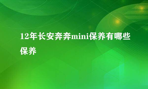 12年长安奔奔mini保养有哪些保养