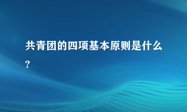 共青团的四项基本原则是什么?