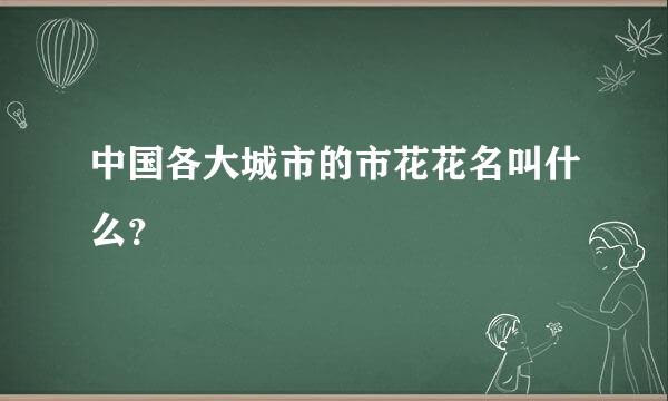 中国各大城市的市花花名叫什么？