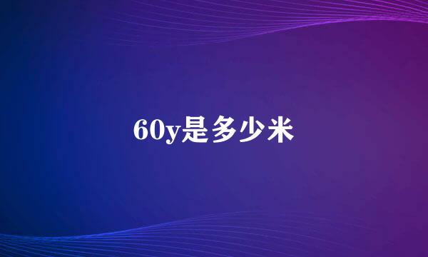 60y是多少米