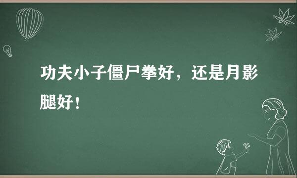 功夫小子僵尸拳好，还是月影腿好！