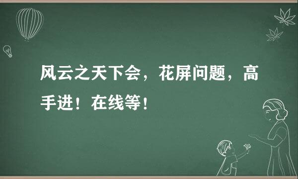 风云之天下会，花屏问题，高手进！在线等！