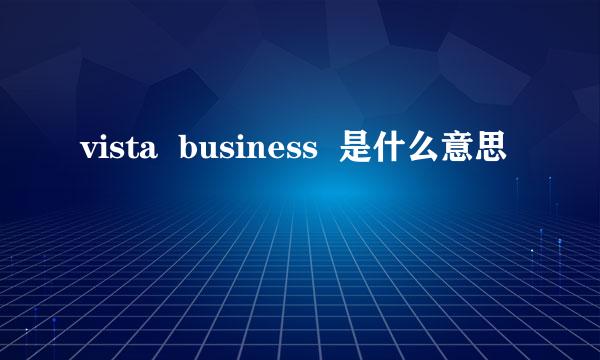 vista  business  是什么意思