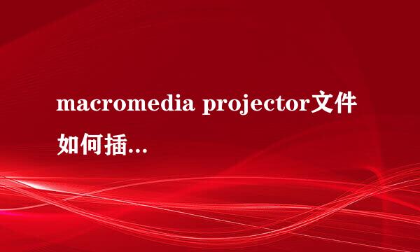 macromedia projector文件如何插入ppt里？