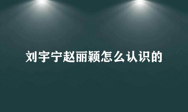 刘宇宁赵丽颖怎么认识的