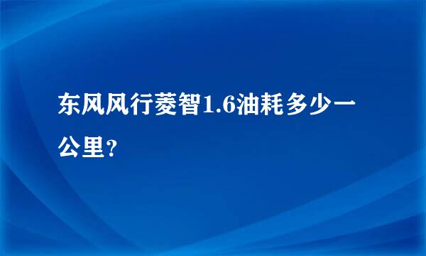 东风风行菱智1.6油耗多少一公里？