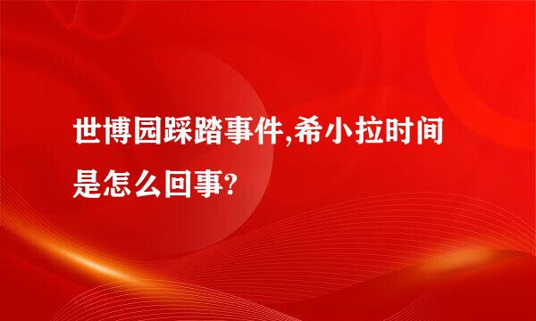 世博园踩踏事件,希小拉时间是怎么回事?