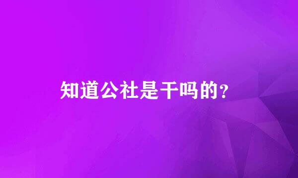 知道公社是干吗的？