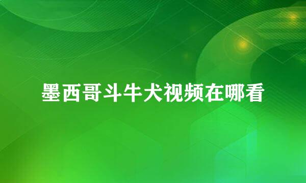 墨西哥斗牛犬视频在哪看