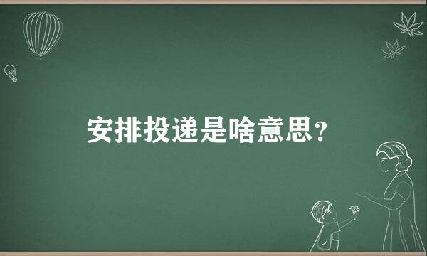 安排投递是啥意思？