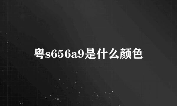 粤s656a9是什么颜色