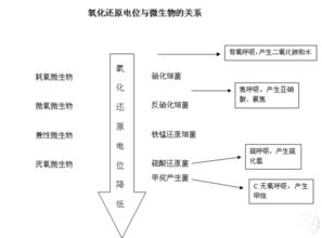 氧化电势和还原电势的是什么？区别