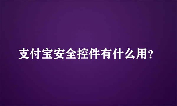 支付宝安全控件有什么用？