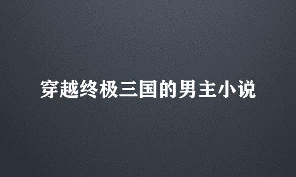 穿越终极三国的男主小说