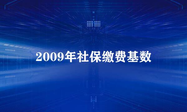 2009年社保缴费基数