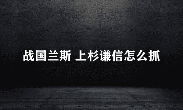 战国兰斯 上杉谦信怎么抓