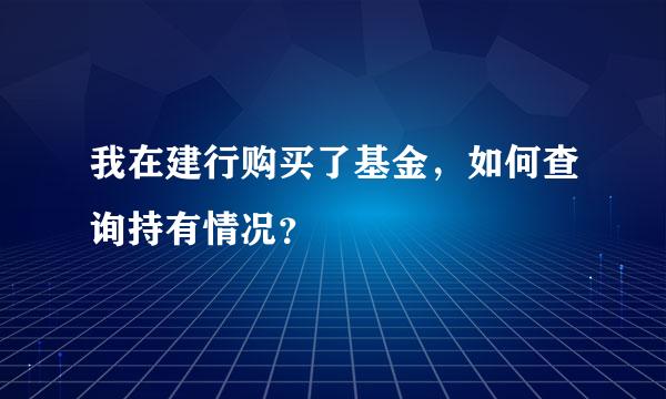 我在建行购买了基金，如何查询持有情况？