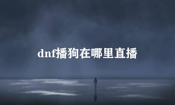 dnf播狗在哪里直播