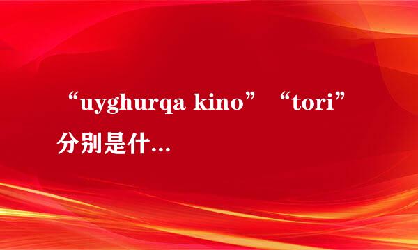 “uyghurqa kino”“tori”分别是什么意思？