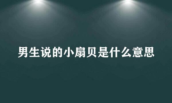 男生说的小扇贝是什么意思