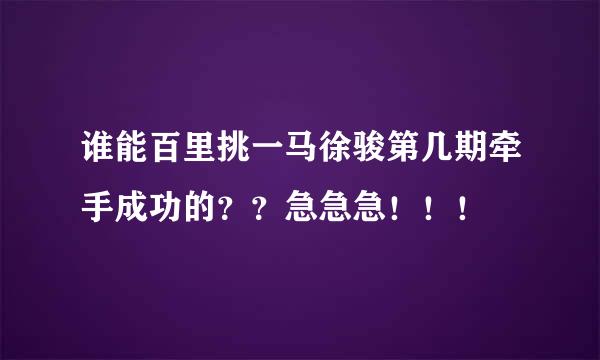 谁能百里挑一马徐骏第几期牵手成功的？？急急急！！！