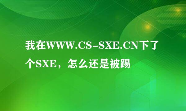 我在WWW.CS-SXE.CN下了个SXE，怎么还是被踢