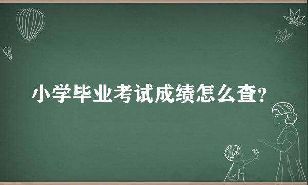 小学毕业考试成绩怎么查？