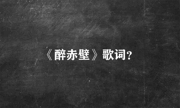 《醉赤壁》歌词？