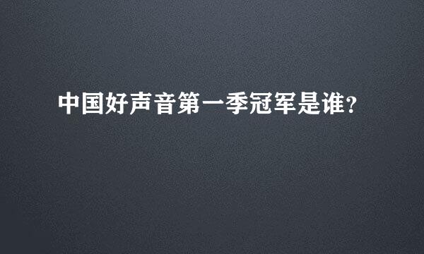 中国好声音第一季冠军是谁？