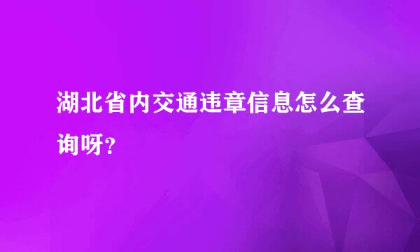 湖北省内交通违章信息怎么查询呀？